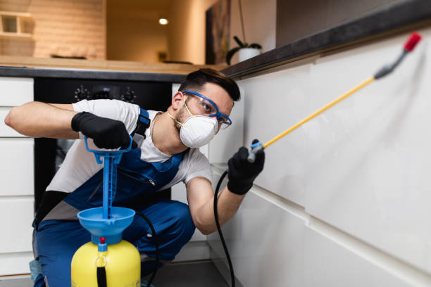 Best Mosquito Control Services  in Pearl City, HI