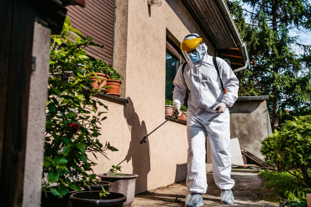 Best Affordable Pest Control Services  in Pearl City, HI