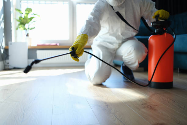 Best Affordable Pest Control Services  in Pearl City, HI