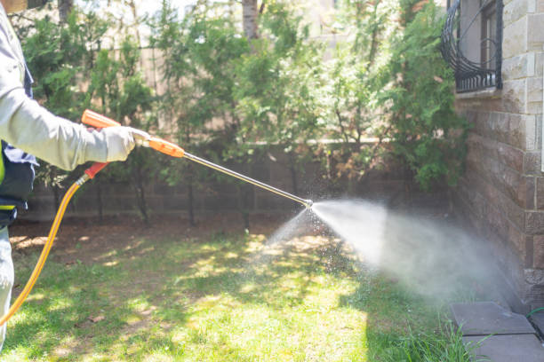 Best Flea Control Services  in Pearl City, HI