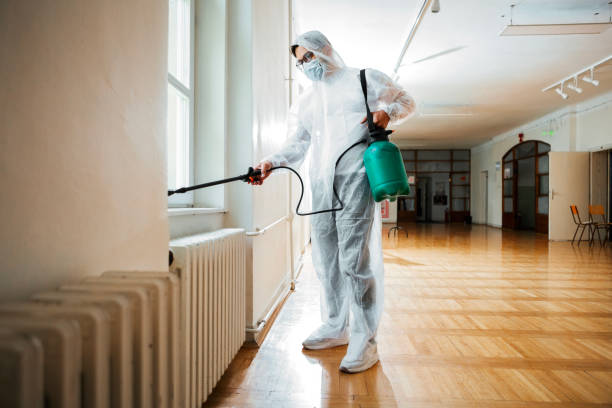 Best Wasp Removal Services  in Pearl City, HI